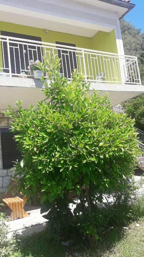 Apartment Dragone Ulcinj Exteriér fotografie