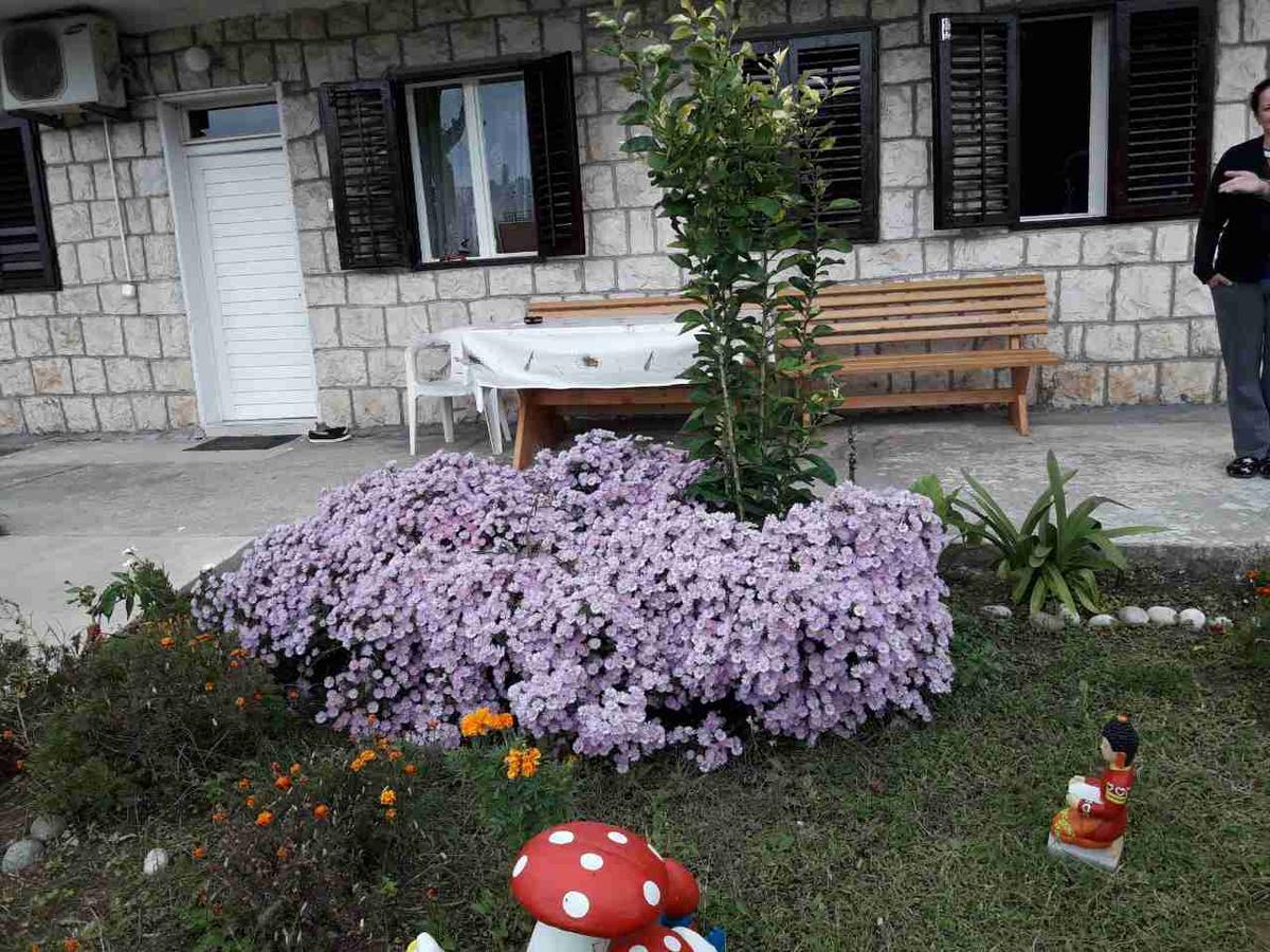 Apartment Dragone Ulcinj Exteriér fotografie